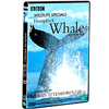 다우리 (DVD타이틀) 와일드 라이프 스페셜 : 혹등고래