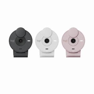 로지텍  Brio 300