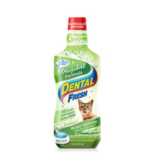 시너지랩 덴탈 후레쉬 캣 오리지널 237ml