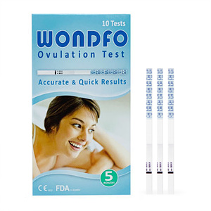 원포 배란테스트기 10개입