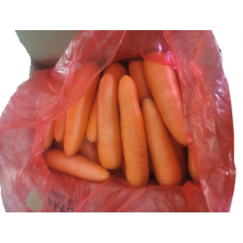 다봄푸드 세척 당근 10kg - 에누리 가격비교