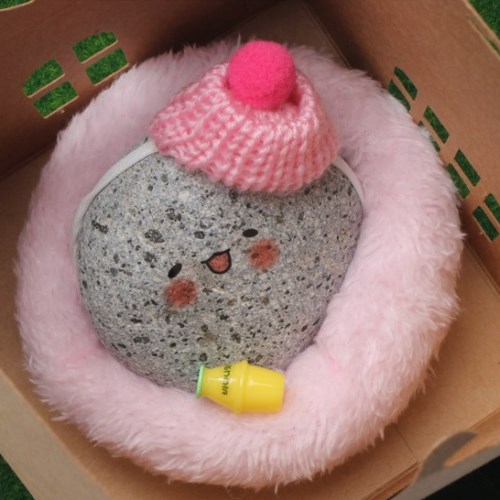 반려돌 떼굴이 다정돌