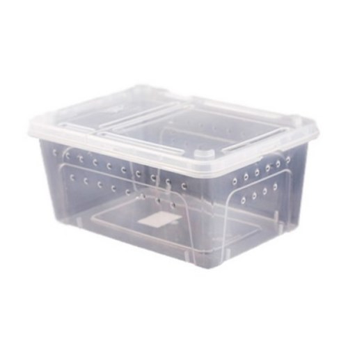 코코넷 반투명 케이지 대