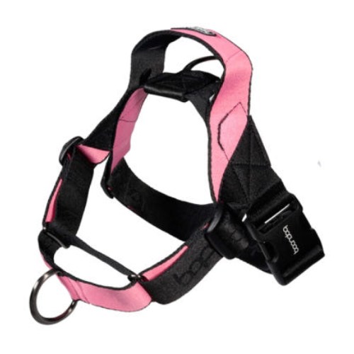 분독 0109 마틴게일 하네스 블랙핑크