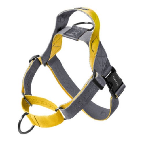 분독 0109 마틴게일 하네스 그레이레몬