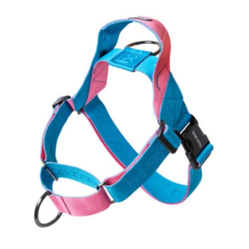 분독 0109 마틴게일 하네스 아쿠아핑크