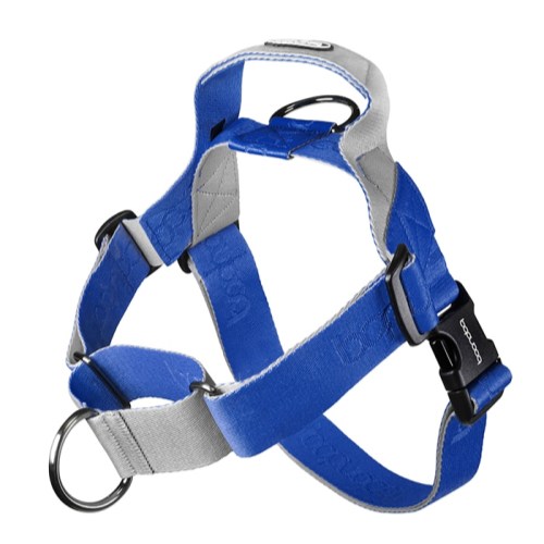 분독 0109 마틴게일 하네스 크림블루