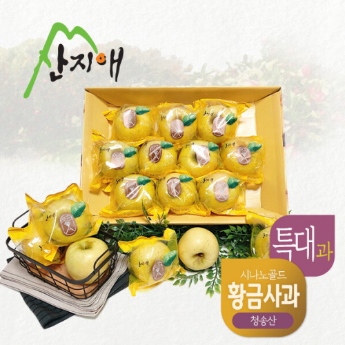 산지애  황금사과 시나노골드 특대과 3kg