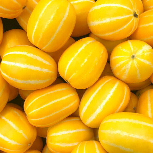 푸드대통령  성주 꿀벌 참외 혼합과 5kg