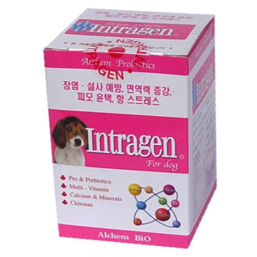 알켐코리아 인트라젠 영양제 타블렛 200p