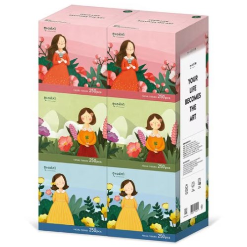 한예지 캐릭터 미니 미용티슈 250매 (6입)
