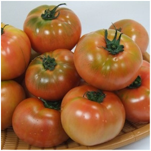 행복한농부  찰토마토 5번 소과 5kg