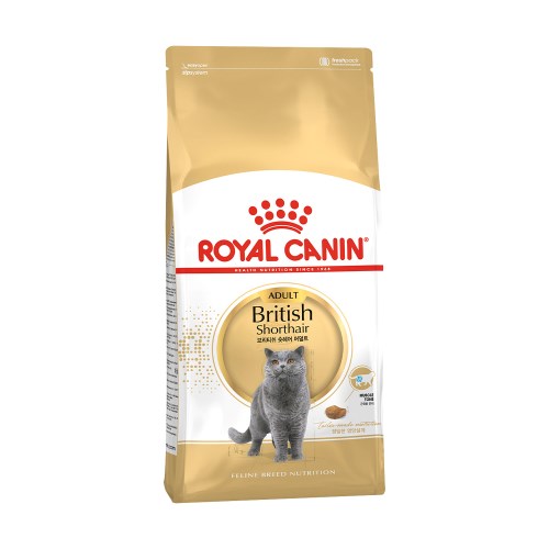 로얄캐닌 브리티시 숏헤어 어덜트 4kg
