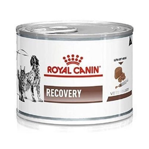 로얄캐닌 리커버리 캔 195g