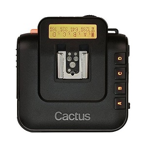 CACTUS V6[해외구매]