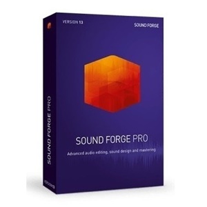 MAGIX Sound Forge Pro 13[기업용 라이선스(ESD)]