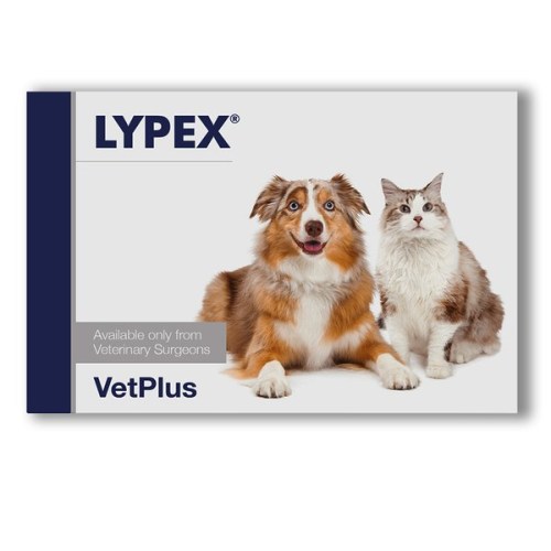 벳플러스 라이펙스 60p