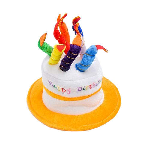 파티쇼  고급 생일 케익 모자