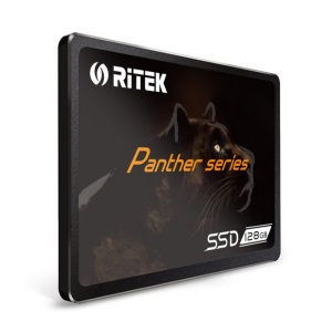 RiTEK  Panther Series [512GB]
