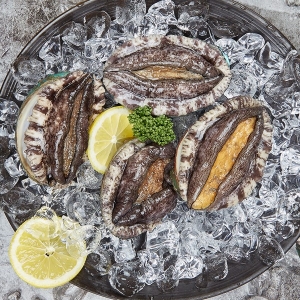 완도맘  완도 참전복 7-8미 1kg