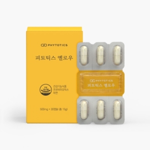 메디오젠 피토틱스 옐로우 500mg 30캡슐