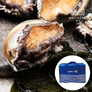 웰굿  완도 활전복 최고급 선물세트 4호 1kg 11~13미