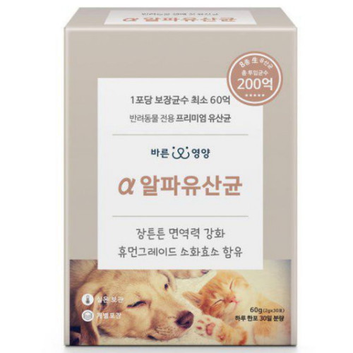 애니힐 바른 영양 알파유산균 60g (2g x 30p)