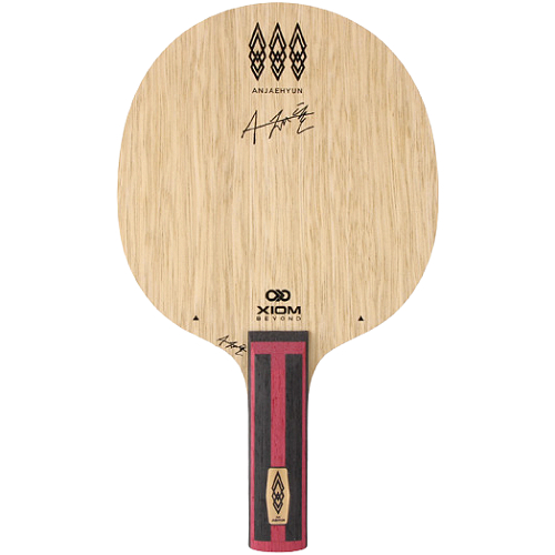 엑시옴  안재현 TMXi