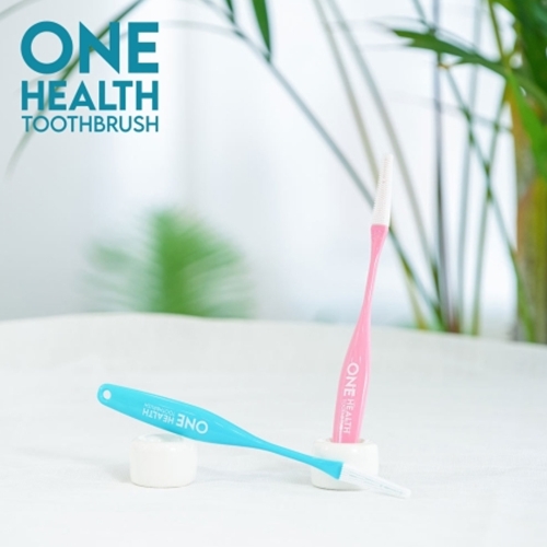 원헬스 강아지칫솔 중형