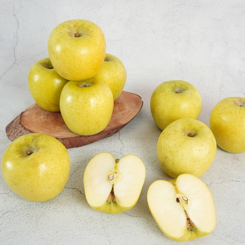 더조은푸드  황금사과 시나노골드 가정용 5kg