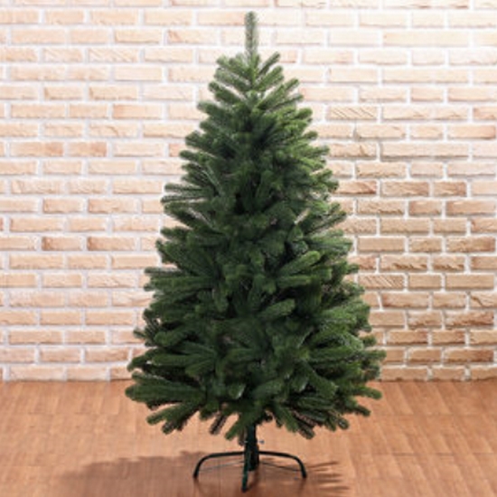 최고급 리얼 전나무 트리