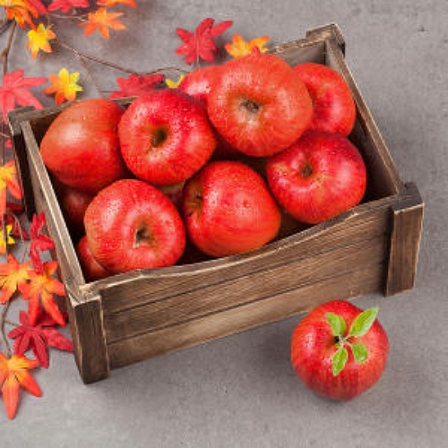 초록자연  고랭지 부사 사과 꼬마 10kg