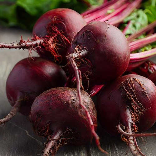 썬영농조합  제주 레드비트 특품 10kg