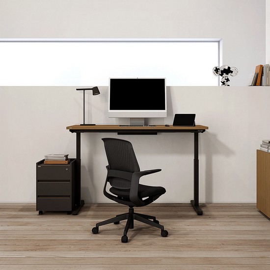 데스커 플러스 모션 스탠딩 책상