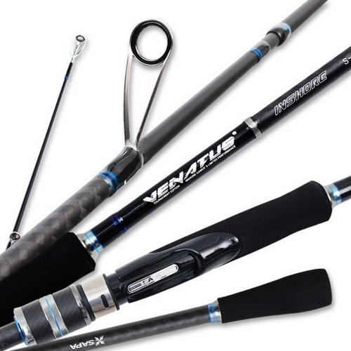 싸파  베나투스 인쇼어