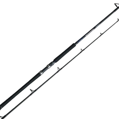 시마노  그라프라 타입 C, 2019년형