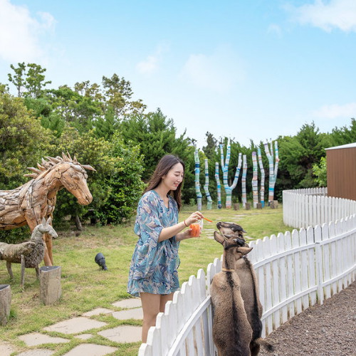 제주 파더스가든+동물농장 이용권 (제주)