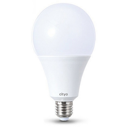 씨티오  LED 벌브전구 주광색 20W