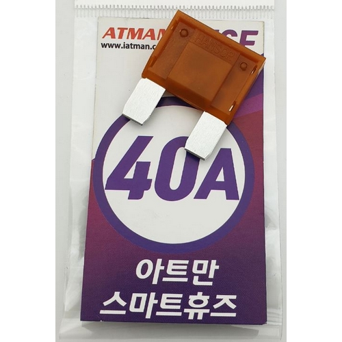 아트만  초대형 LED 자동차 휴즈 AMP-40A
