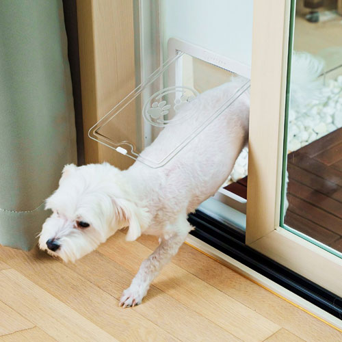 바라바 강아지 안전문