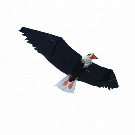 아이엠카이트  3D 입체 독수리 연