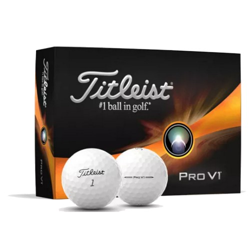 타이틀리스트  2023 프로 V1