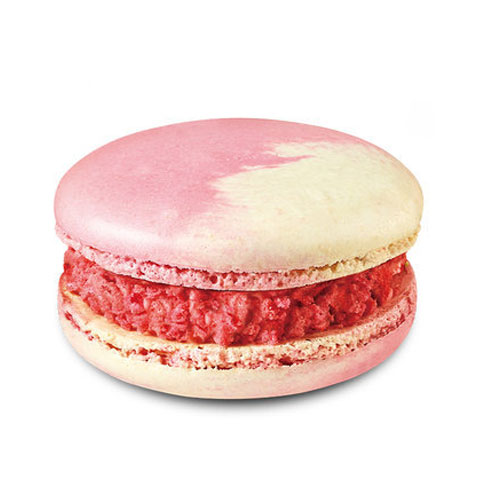 메가MGC커피 딸기요거트마카롱