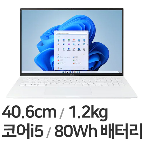 LG전자 2022 그램16(12세대) 16Z90Q-GA5HK