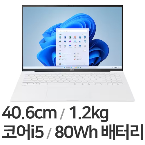 LG전자 2023 그램16 16Z90R-GA50K