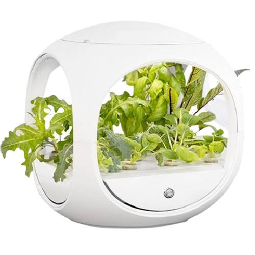 닥터플랜츠 DR-PLANTS001