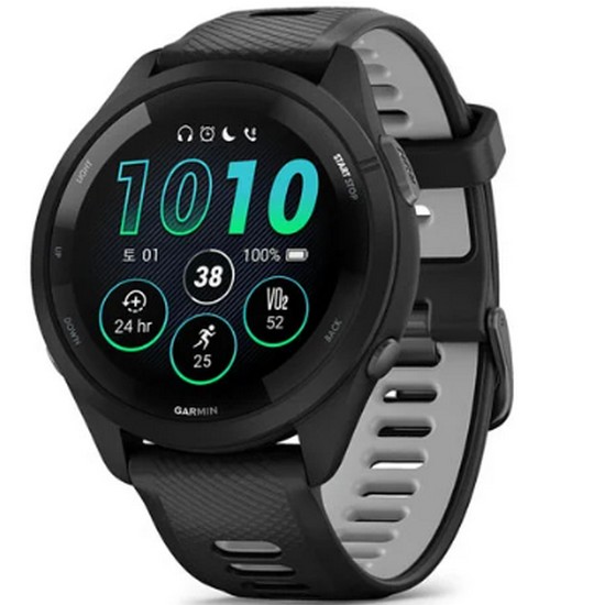 가민  포러너 265