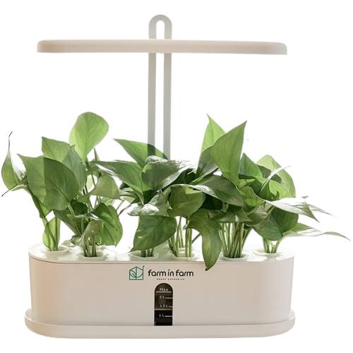 팜인팜 GROWPOT-01