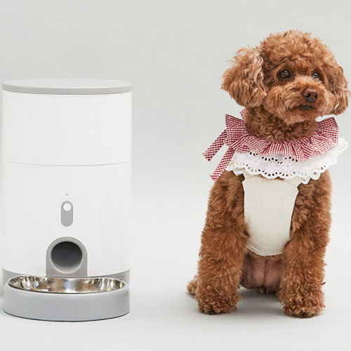 페페  펫 자동급식기 SF-100 프로