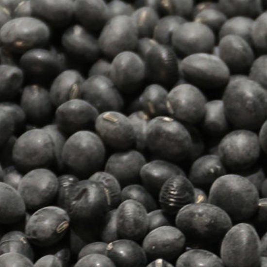 힘찬농부  2022 서리태 속청 2kg